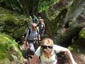 2014-06-05 15-36-16 Foret de Fontainebleau DLe